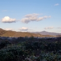 19w-japn-025_kyoto_034