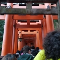 19w-japn-025_kyoto_056