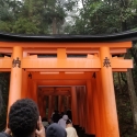 19w-japn-025_kyoto_057