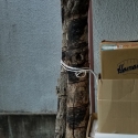 19w-japn-025_kyoto_225