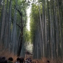19w-japn-025_kyoto_290