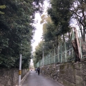 19w-japn-025_kyoto_300