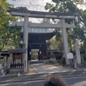 19w-japn-025_kyoto_305
