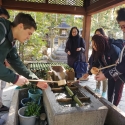 19w-japn-025_kyoto_306