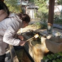 19w-japn-025_kyoto_308