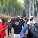 19w-japn-025_kyoto_313
