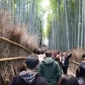 19w-japn-025_kyoto_314