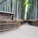 19w-japn-025_kyoto_315