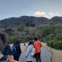 19w-japn-025_kyoto_319