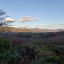 19w-japn-025_kyoto_321