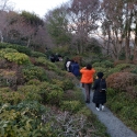 19w-japn-025_kyoto_325