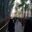 19w-japn-025_kyoto_331