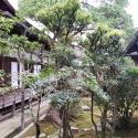 19w-japn-025_kyoto_346