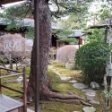 19w-japn-025_kyoto_349