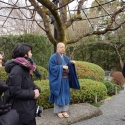19w-japn-025_kyoto_368