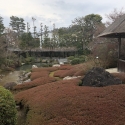 19w-japn-025_kyoto_415