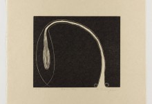 alex mendez • BODY POLITICS