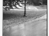 edwards-mizel-min-dof001