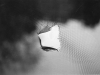 erdos-min-dof001