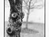 kang-min-dof001