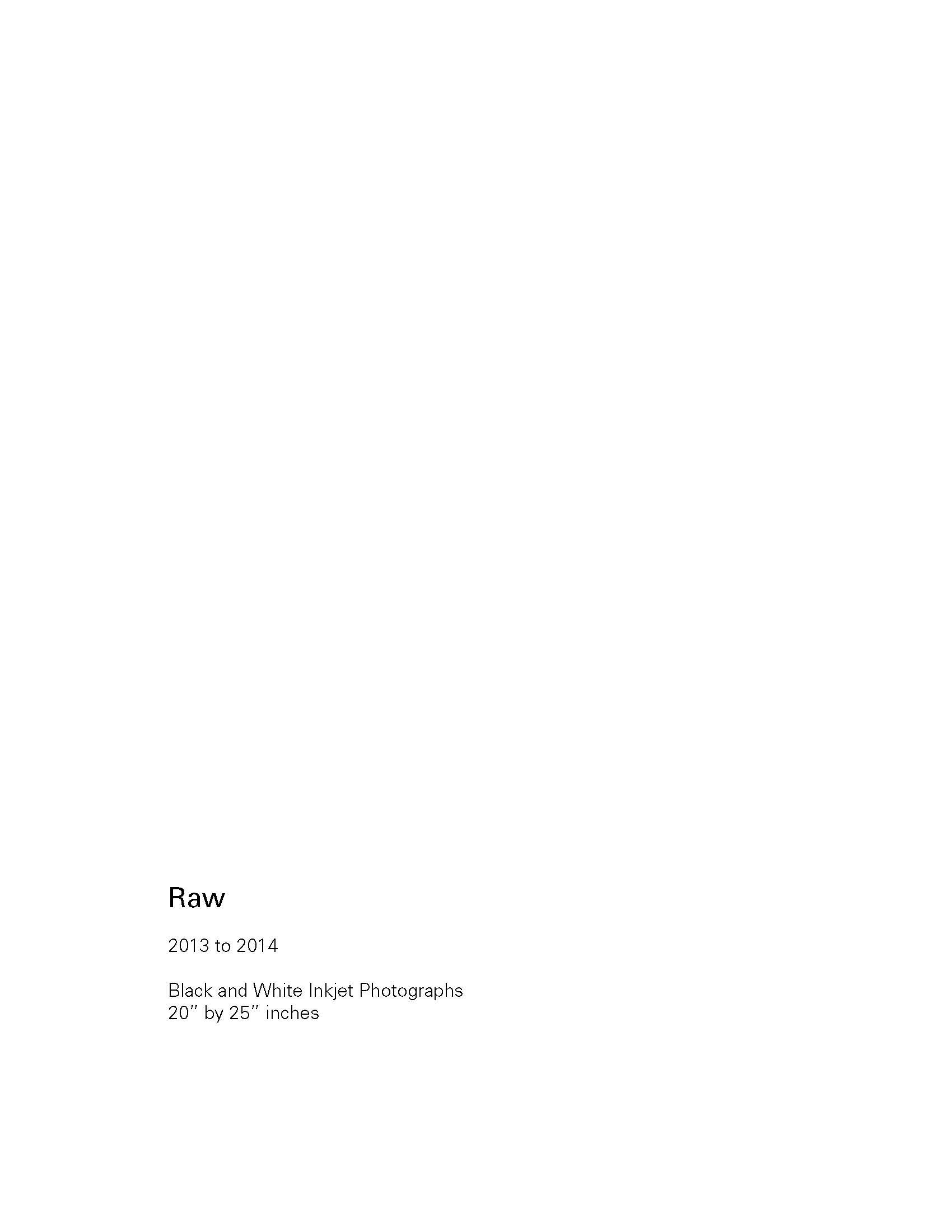 Levitt_portfolio_Perez1_edited_Page_02