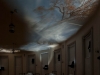Rotunda_7a EthanJackson