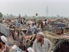 Asia_weblog_06