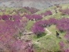 Asia_weblog_10