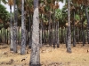 Asia_weblog_14