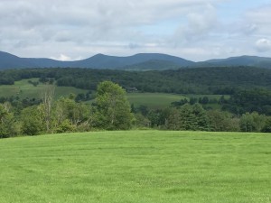 taconic view from blair
