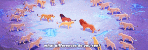 Lion King 2 teaches a peaceful lesson: "What differences do you see?"