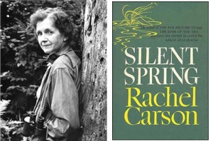 rachel-carson-and-silent-spring-radiogreenearth-488