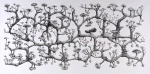 Richard Giblett Recent work : 2006-2009 Represented by Galerie Dusseldorf 21. Mycelium Rhizome, 2009 Pencil on paper 120 x 240 cm Collection of the artist Represented by Galerie Dusseldorf