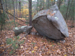 Figure 3: An Erratic Boulder from Massachusetts (Boulder Erratic, Borderland State Park).