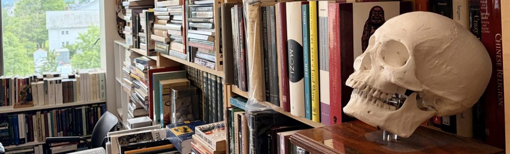 Professor Storm's Bibliotheca Abscondita