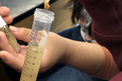 Maris N.'s strawberry DNA extraction, 7 March 2019