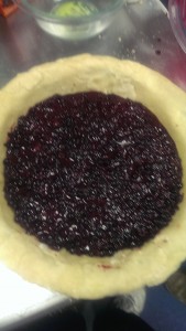 Blueberries in Pie Crust