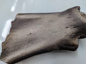 Chinese Oracle Bone: high-resolution resin print from 3D model