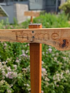 Laser-engraved signs installed in the Envi Center gardens