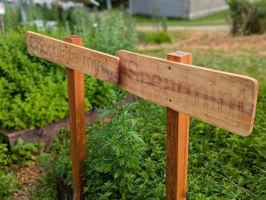 Laser-engraved signs installed in the Envi Center gardens