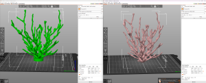 Left: Original coral model; Right: Same model but deformed using SolidWorks to simulate tsunami forces