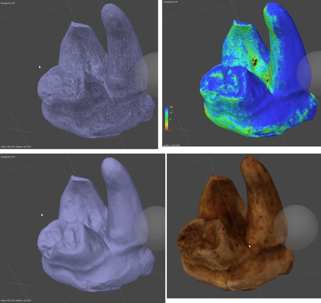 These are views of the digital model within Metashape's software. Clockwise from top left: (1) a wireframe of 203,000 triangular vertices; (2) a color map that represents the software's confidence in the digital reconstruction (blue = high confidence, red = low confidence); (3) a solid rendering of the object; (4) a model that includes color texturing.