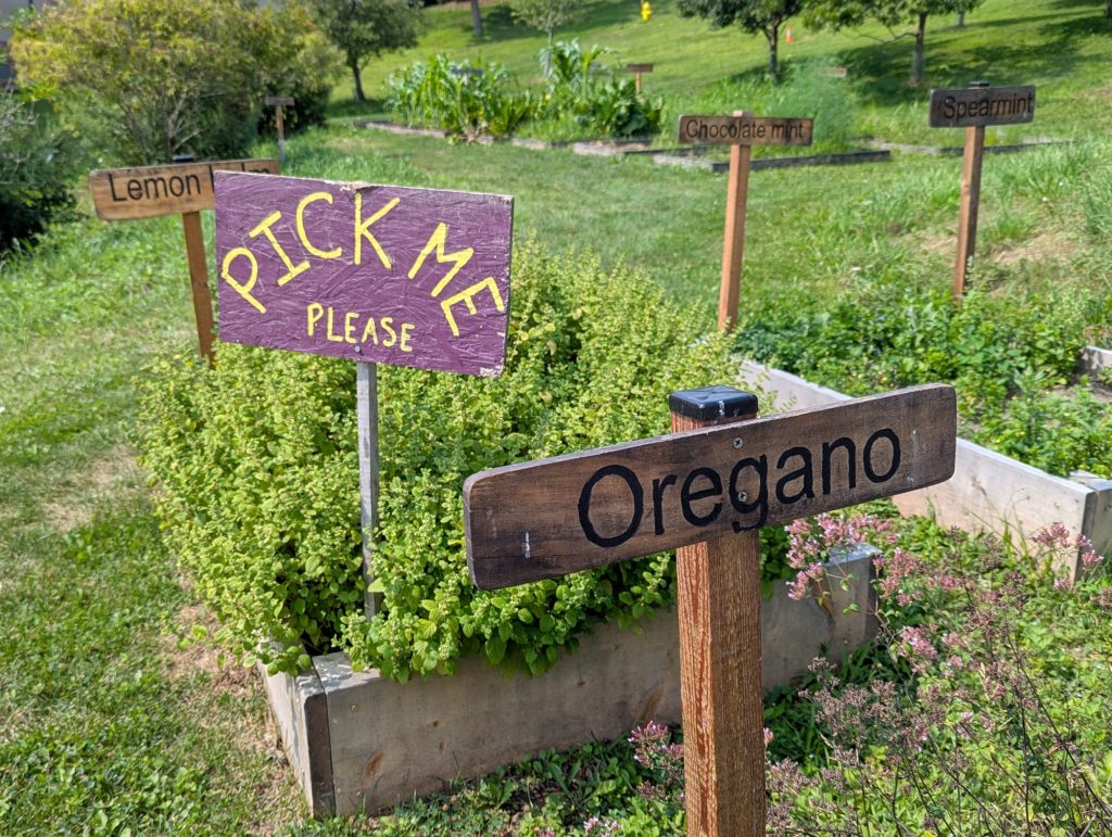 Newly painted signs: We learned that weather removes the (pretty) charring that results from laser engraving. Carefully painting the engraved letters restored the much needed contrast between the wood and the descriptive word(s).