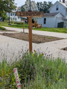 Newly painted signs: We learned that weather removes the (pretty) charring that results from laser engraving. Carefully painting the engraved letters restored the much needed contrast between the wood and the descriptive word(s).