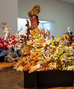 Worldwide Crochet Coral Reef