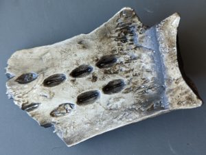Javier Robelo (Print Studio Technician) added water soluble etching ink to the resin print, then wiped it off using tarlatan wiping fabric. This process allows only the ink within the crevices to remain and that greatly the enhances visible contrast of the 3,000 year old markings.