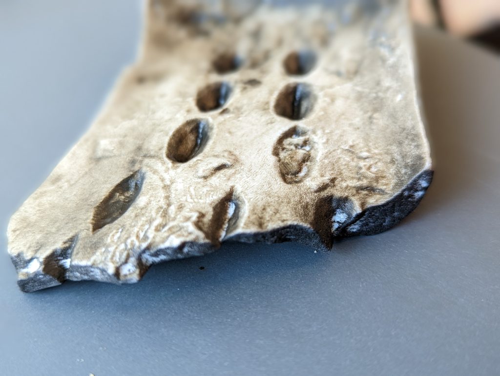 The 3D-printed replica of the Chinese Oracle Bone