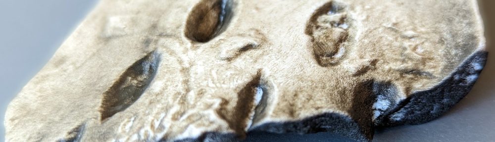 The 3D-printed replica of the Chinese Oracle Bone