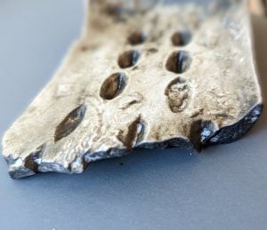 The 3D-printed replica of the Chinese Oracle Bone
