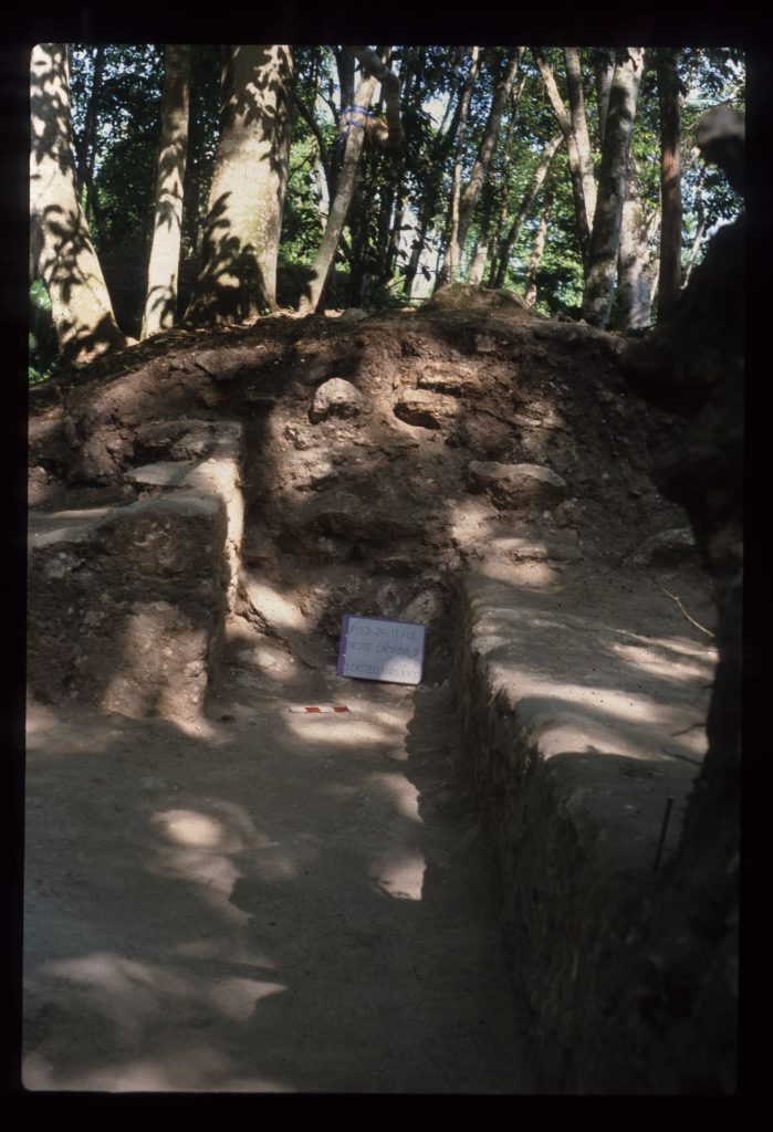 Excavation